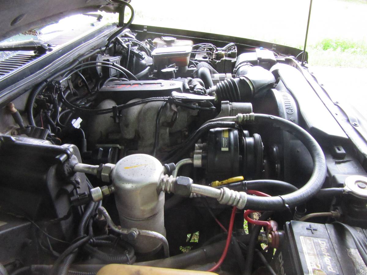 Chevrolet-s10-blazer-1994-black-9