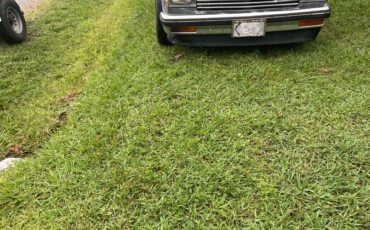 Chevrolet-s10-pickup-1984-black-3