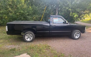 Chevrolet-s10-pickup-1991-black