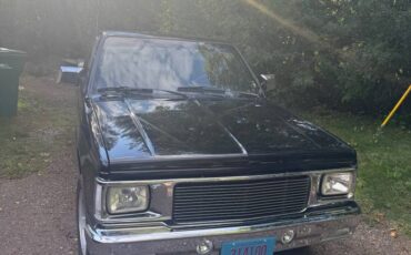 Chevrolet-s10-pickup-1991-black-5
