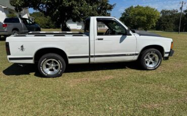 Chevrolet-s10-pickup-1993-3