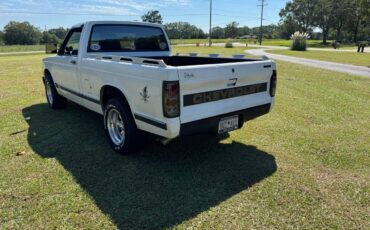 Chevrolet-s10-pickup-1993-4