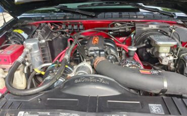 Chevrolet-s10-pickup-1994-custom-5