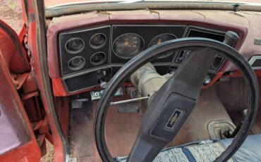 Chevrolet-scottsdale-1980-red-10