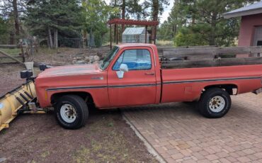 Chevrolet-scottsdale-1980-red