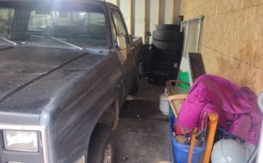 Chevrolet-silverado-1500-1983-blue