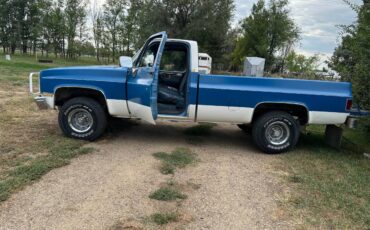Chevrolet-silverado-1500-1984-blue-11