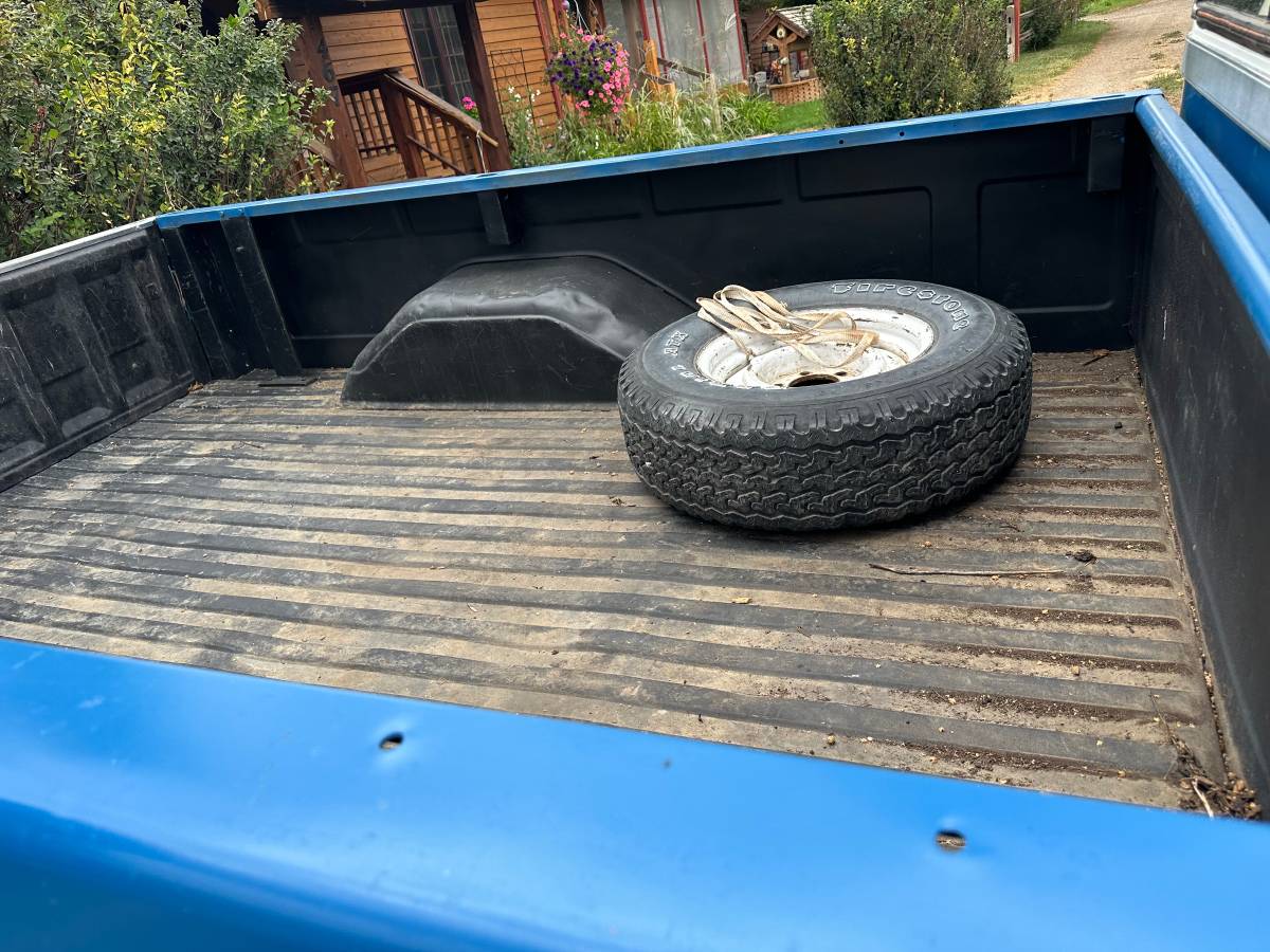 Chevrolet-silverado-1500-1984-blue-5