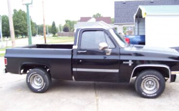 Chevrolet-silverado-1500-1985-6