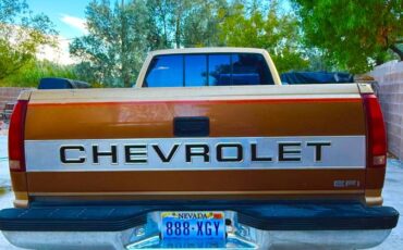 Chevrolet-silverado-1500-1991-brown-6