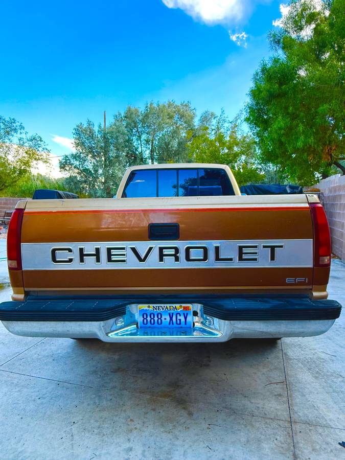 Chevrolet-silverado-1500-1991-brown-6