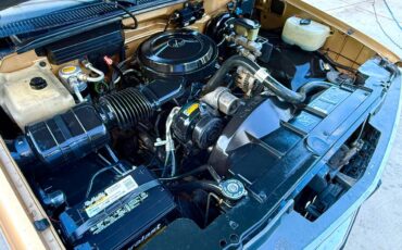 Chevrolet-silverado-1500-1991-brown-7