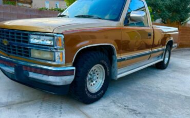 Chevrolet-silverado-1500-1991-brown-9