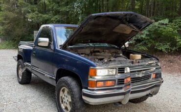 Chevrolet-silverado-1500-1993-blue-10