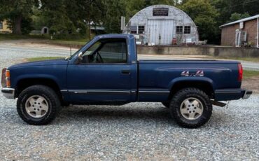 Chevrolet-silverado-1500-1993-blue-12
