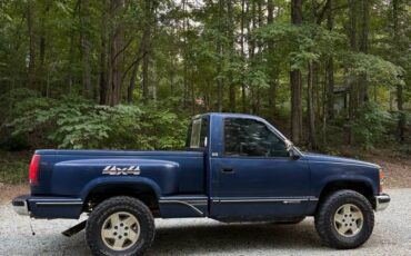 Chevrolet-silverado-1500-1993-blue-4