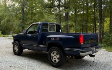 Chevrolet-silverado-1500-1993-blue-6