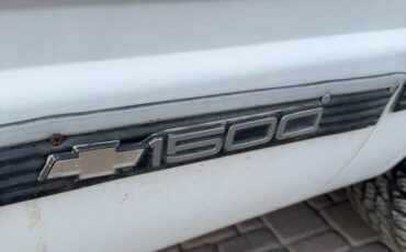 Chevrolet-silverado-1500-1993-white-14