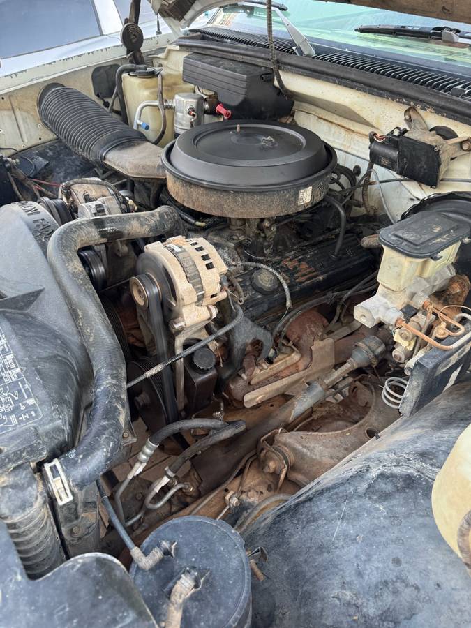 Chevrolet-silverado-1500-1993-white-16