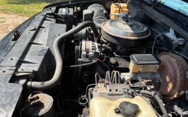 Chevrolet-silverado-1500-1994-black-3