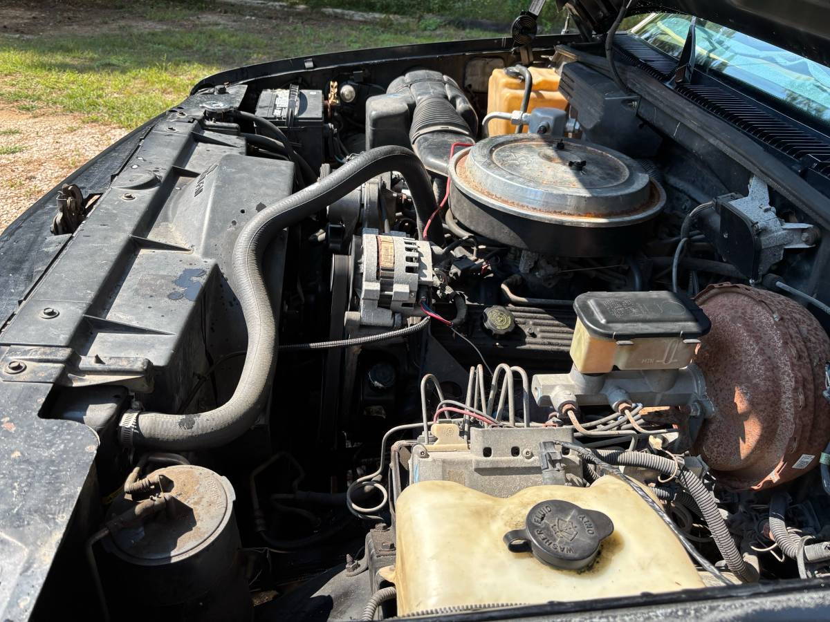 Chevrolet-silverado-1500-1994-black-3