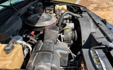 Chevrolet-silverado-1500-1994-black-4