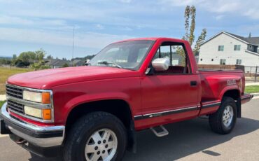 Chevrolet-silverado-1500-4x4-1990-6