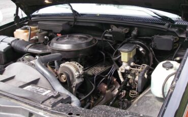 Chevrolet-silverado-1500-c-10-1994-custom-5