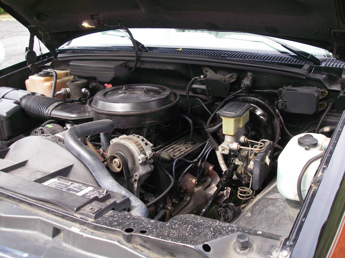 Chevrolet-silverado-1500-c-10-1994-custom-5