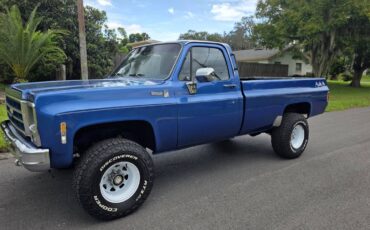 Chevrolet-silverado-1500-k20-1980-blue-12