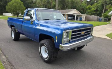 Chevrolet-silverado-1500-k20-1980-blue-13