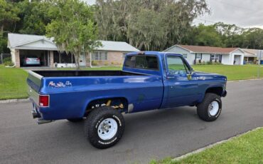 Chevrolet-silverado-1500-k20-1980-blue-14