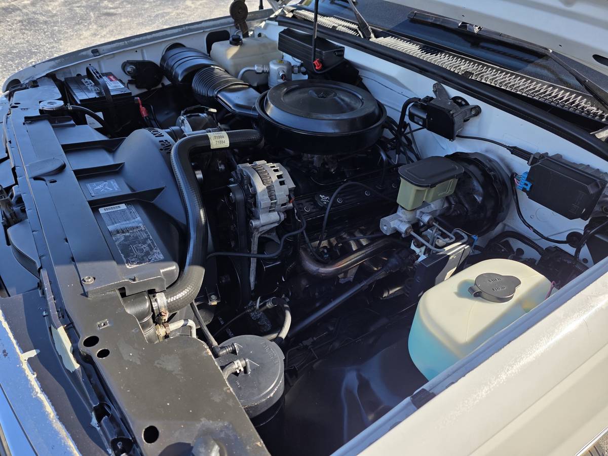 Chevrolet-silverado-1500-lt-z71-1991-white-18