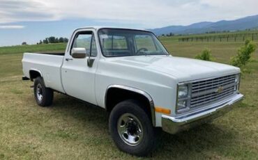 Chevrolet-silverado-1977-white
