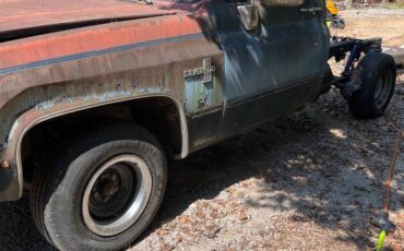 Chevrolet-silverado-1981-3