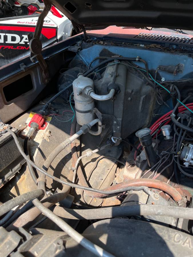 Chevrolet-silverado-1981-6