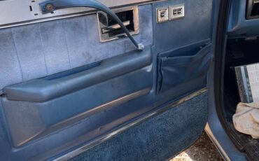 Chevrolet-silverado-1981-7