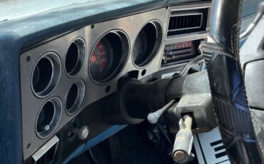 Chevrolet-silverado-1981-8