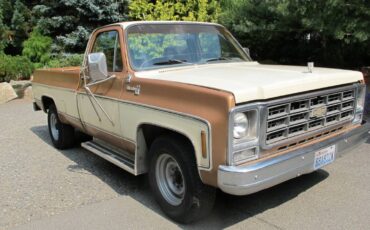 Chevrolet-silverado-3000-1979-brown-2
