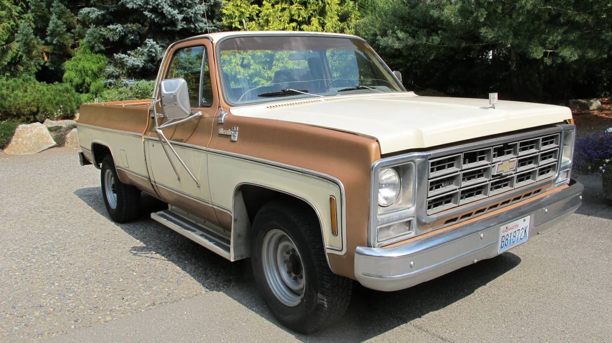 Chevrolet-silverado-3000-1979-brown-2