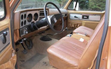 Chevrolet-silverado-3000-1979-brown