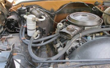 Chevrolet-silverado-3000-1979-brown-4