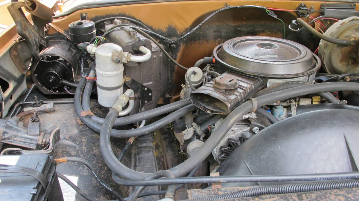 Chevrolet-silverado-3000-1979-brown-4