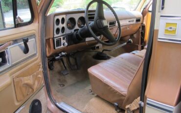 Chevrolet-silverado-3000-1979-brown-5
