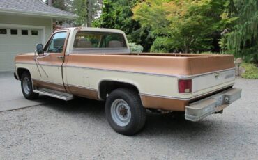 Chevrolet-silverado-3000-1979-brown-8