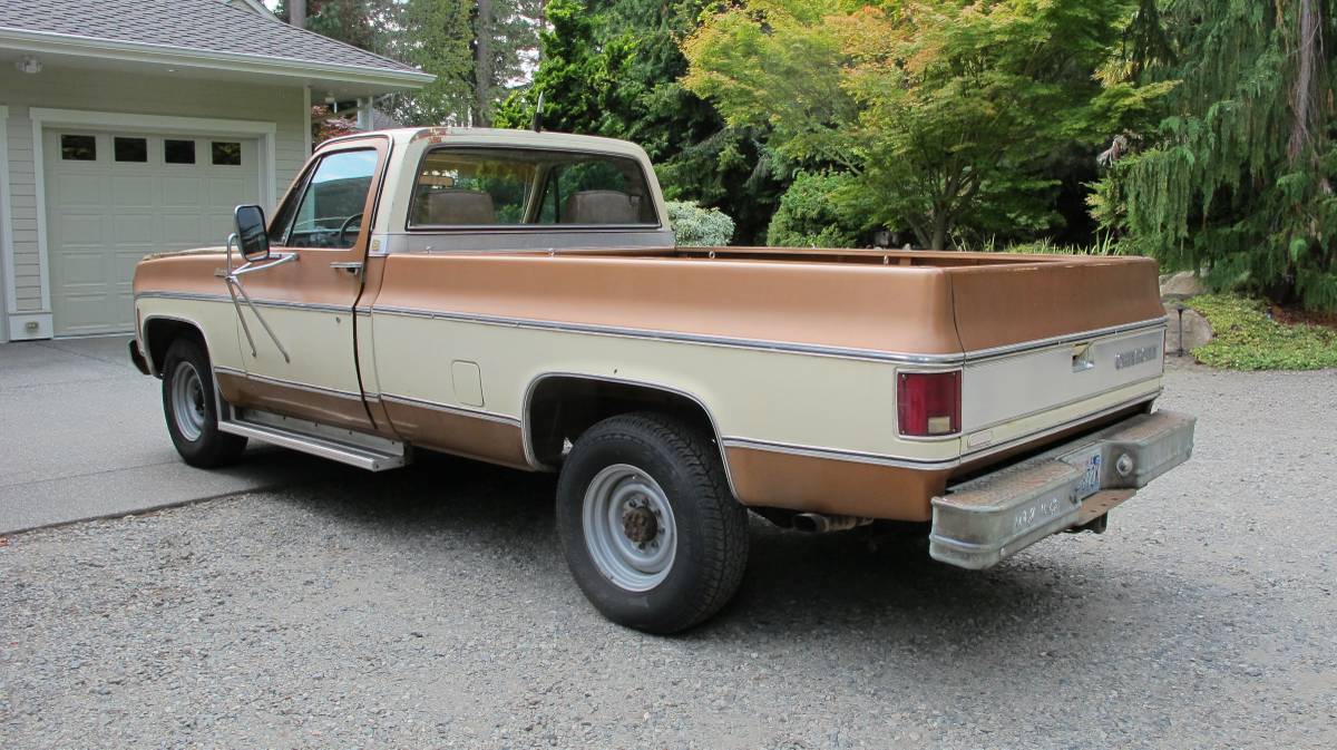 Chevrolet-silverado-3000-1979-brown-8