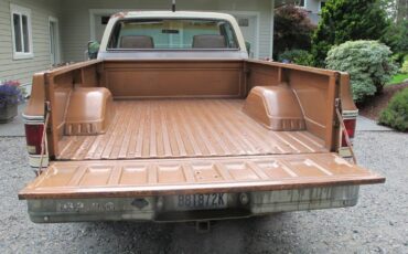Chevrolet-silverado-3000-1979-brown-9