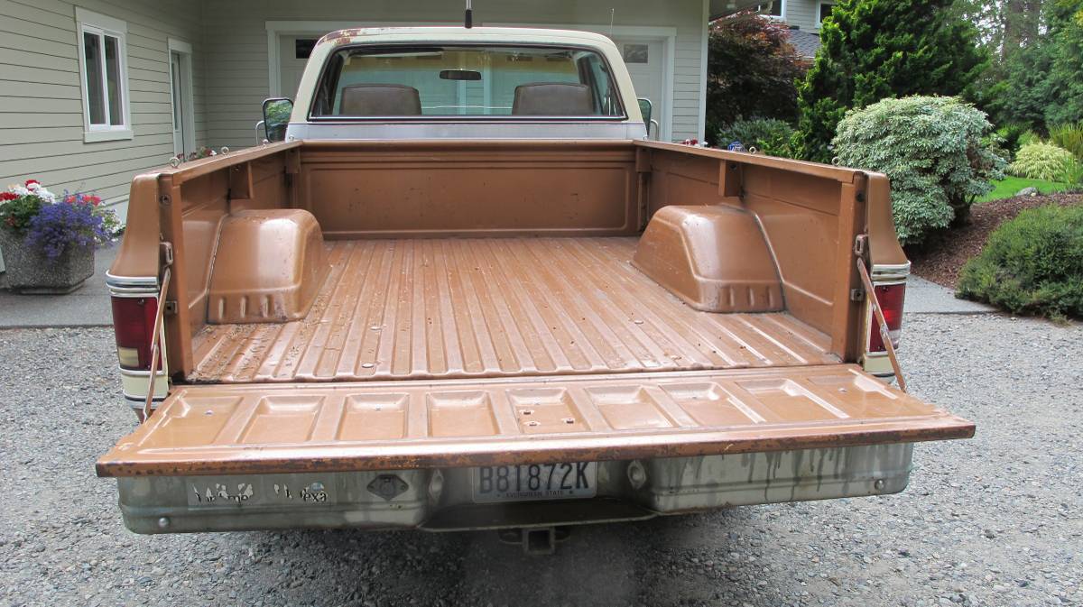 Chevrolet-silverado-3000-1979-brown-9