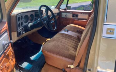 Chevrolet-silverado-c10-1978-2