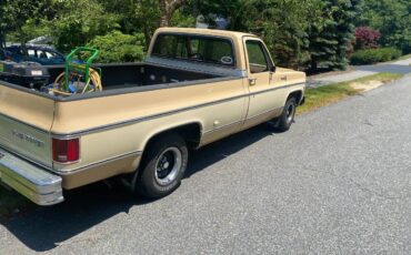 Chevrolet-silverado-c10-1978-5